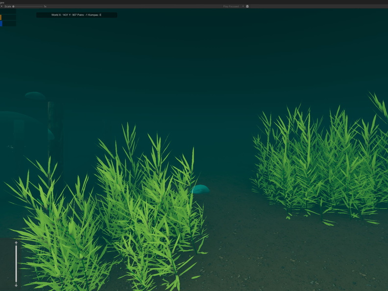 Underwater vegetation