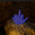 Crystal in torch light